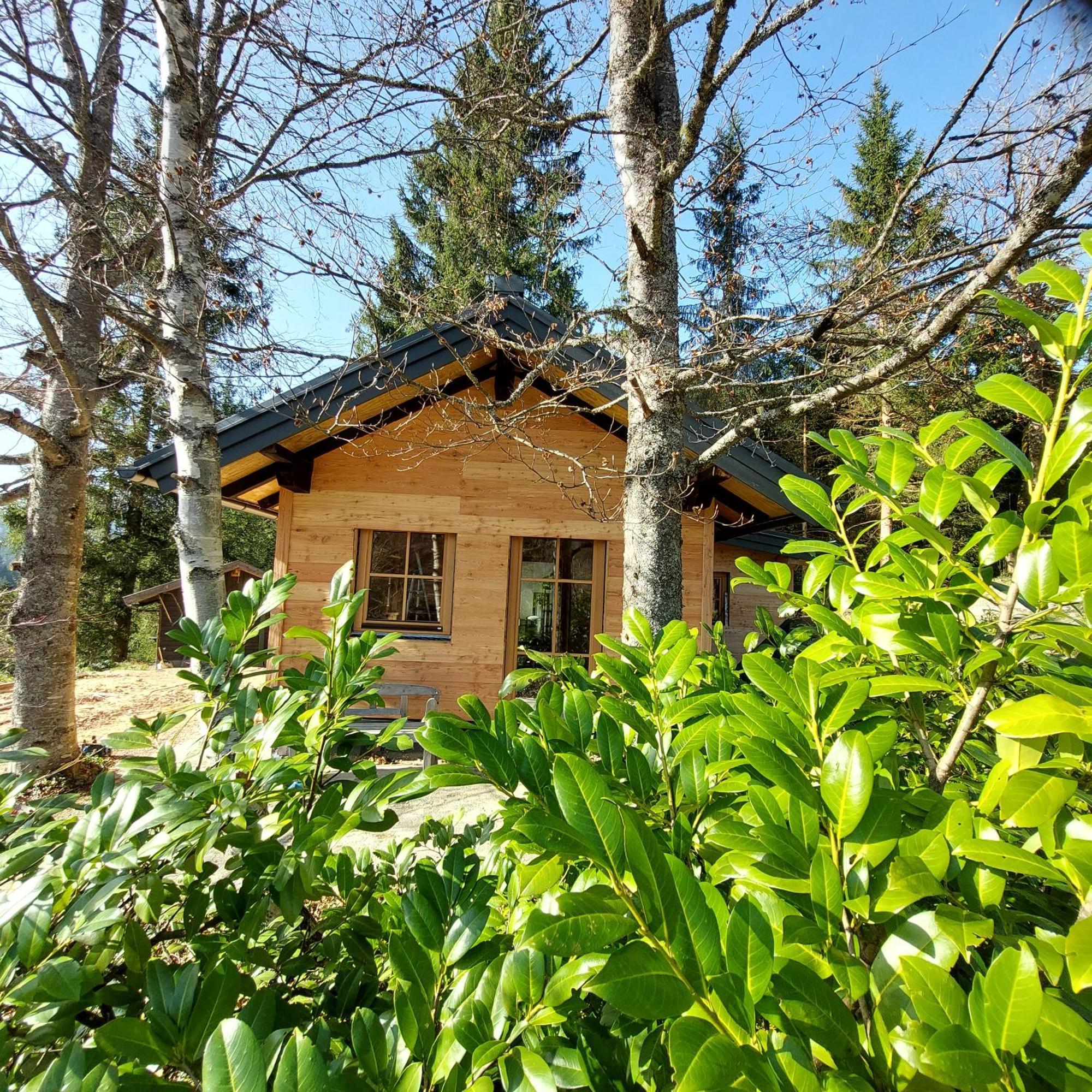 Huette Neuhaus Villa Анаберг им Ламертал Екстериор снимка