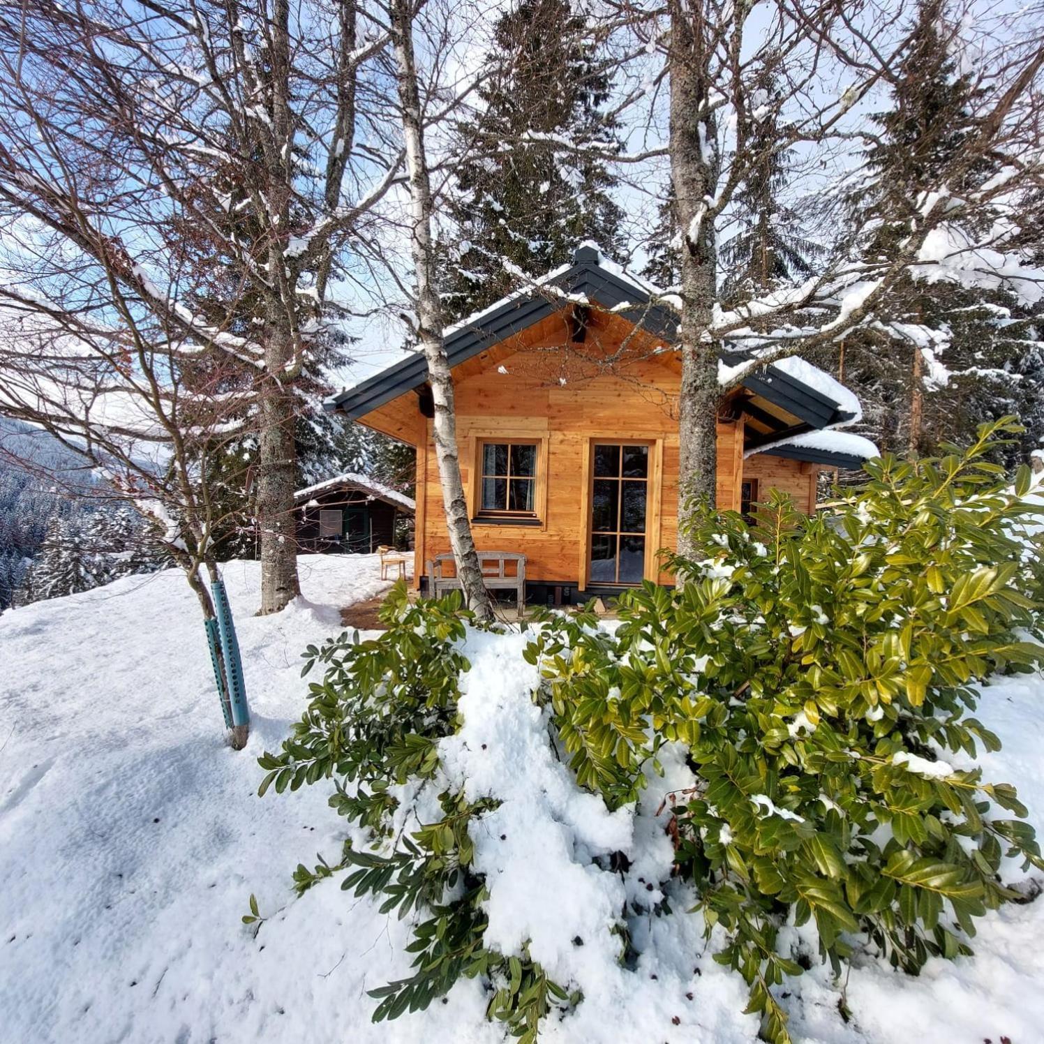 Huette Neuhaus Villa Анаберг им Ламертал Екстериор снимка