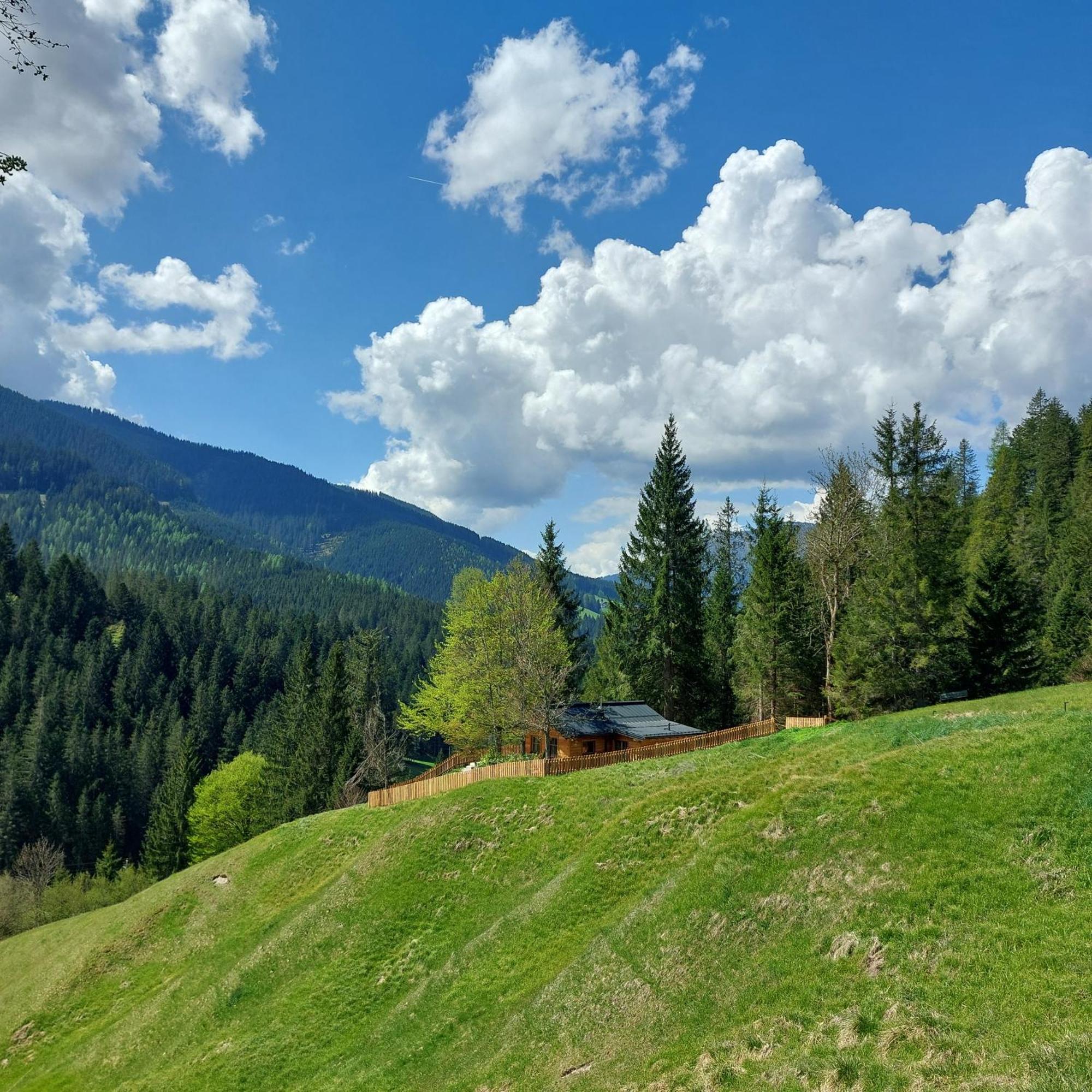 Huette Neuhaus Villa Анаберг им Ламертал Екстериор снимка