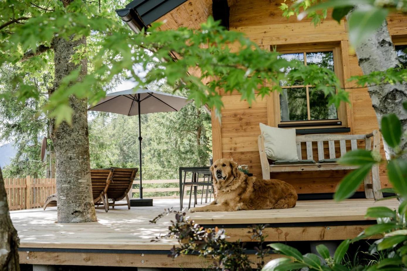 Huette Neuhaus Villa Анаберг им Ламертал Екстериор снимка